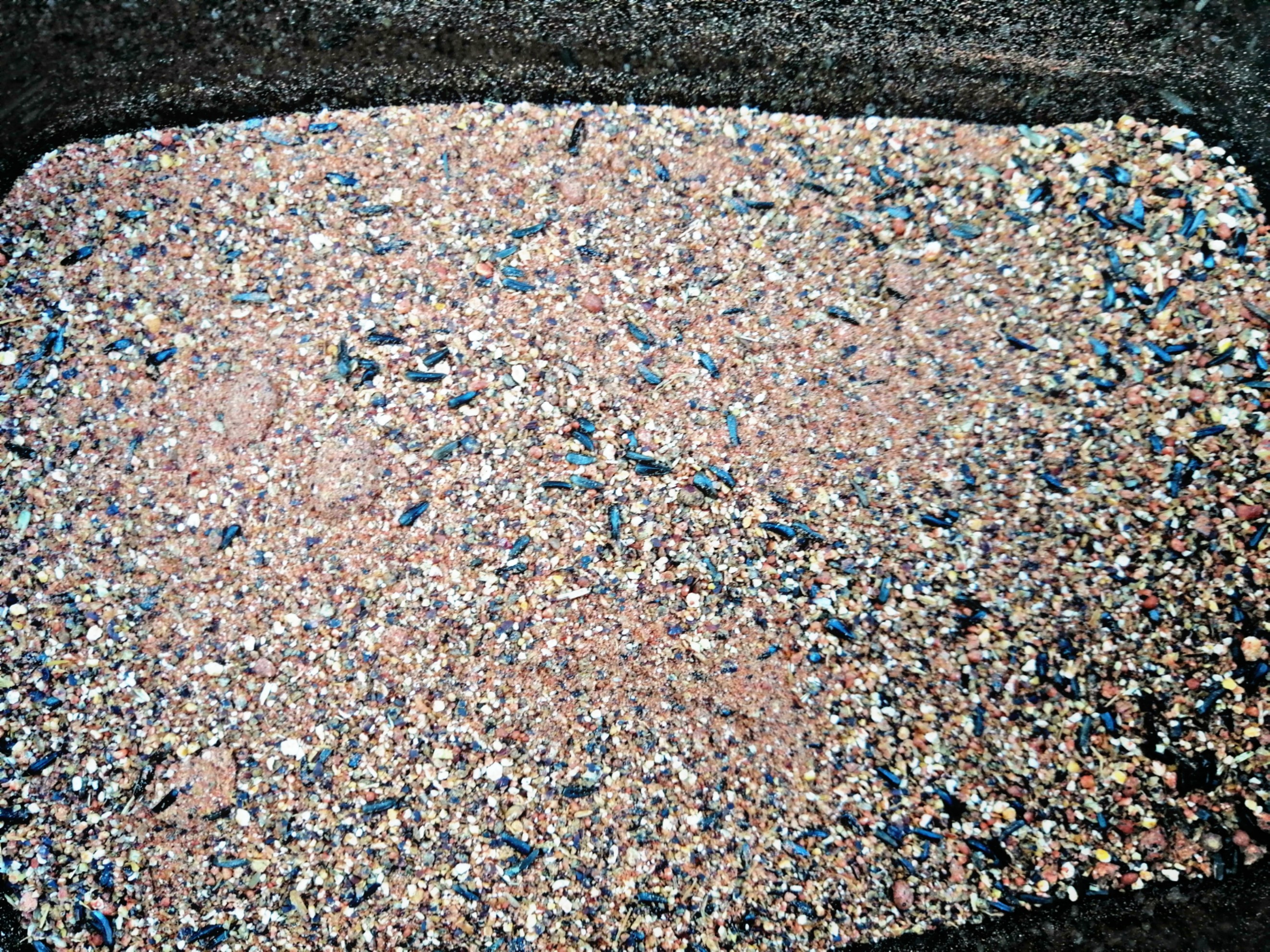 PicsArt_02-26-11.15.00